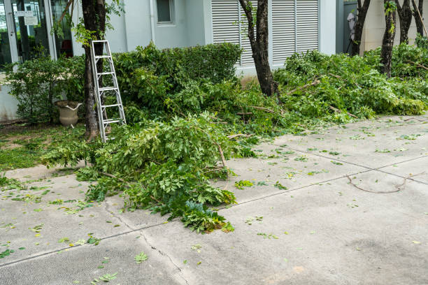 Best Commercial Tree Services  in Abernathy, TX